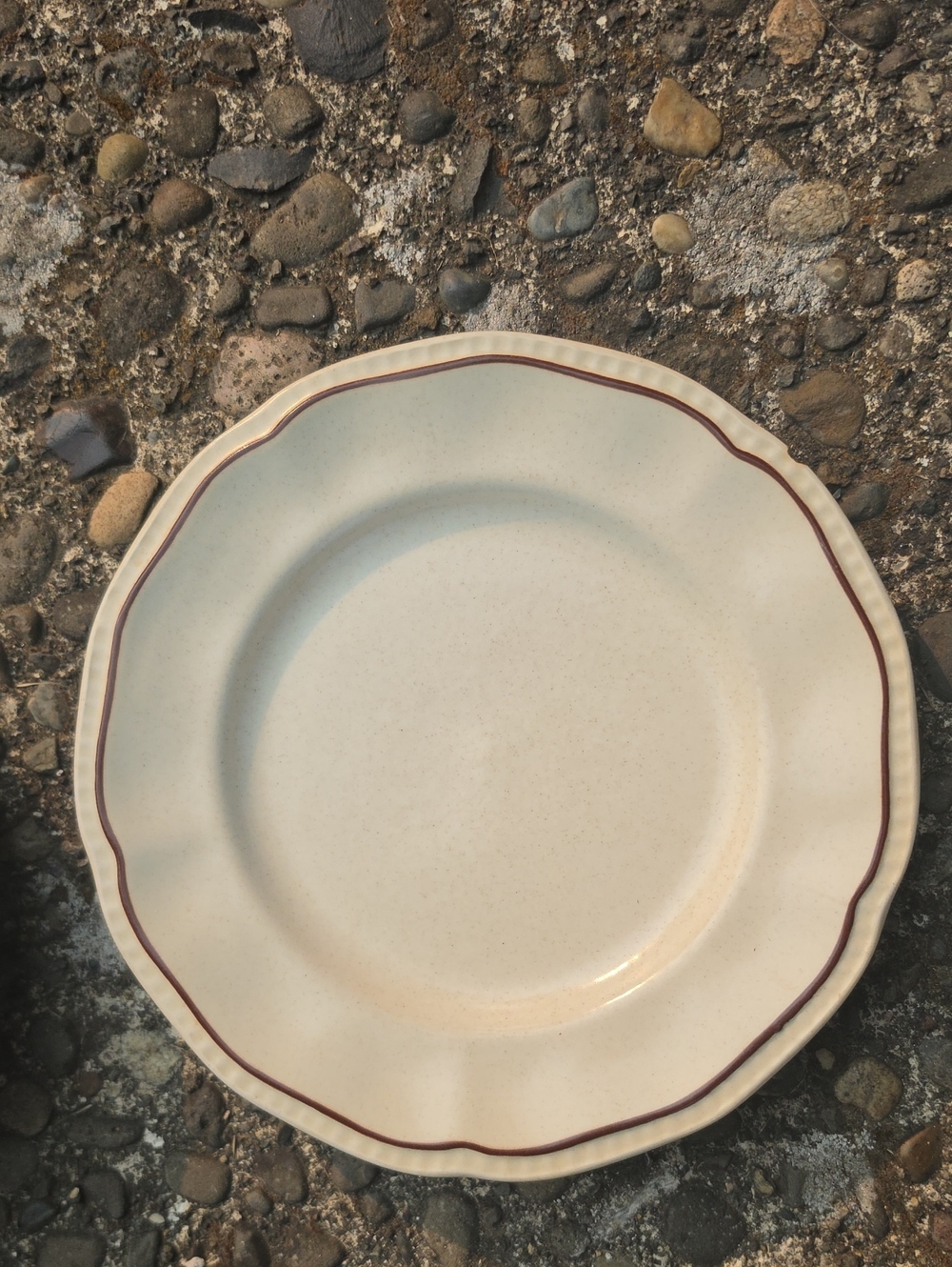 Cream Scalloped Dinner Plate with Brown Trim